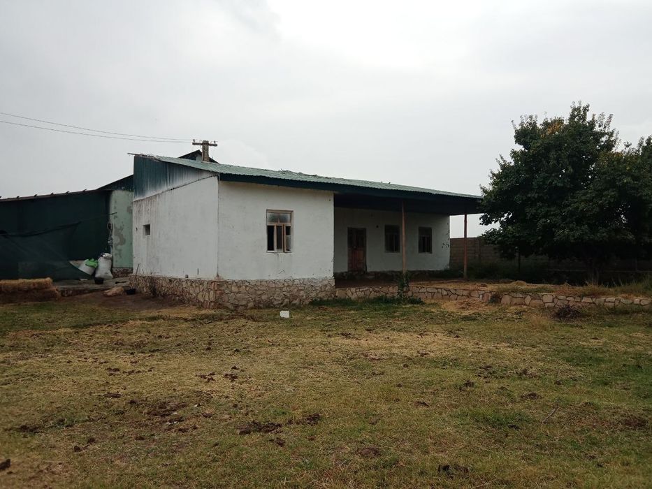 Когон туман Кизилолма кишлогида жойлашган 14,5 сотих учаска сотилади.