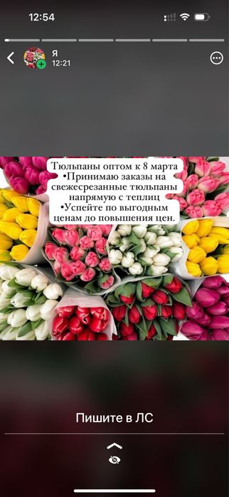 Тюльпаны оптом 8 марта