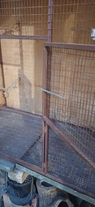 Клетка за папагали