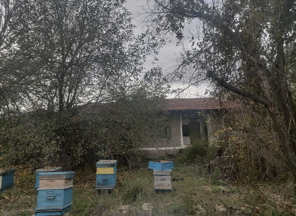 Продава се Къща в с. Храброво, Област Варна - 2000 кв.м за 10 €/кв.м - Снимка #4