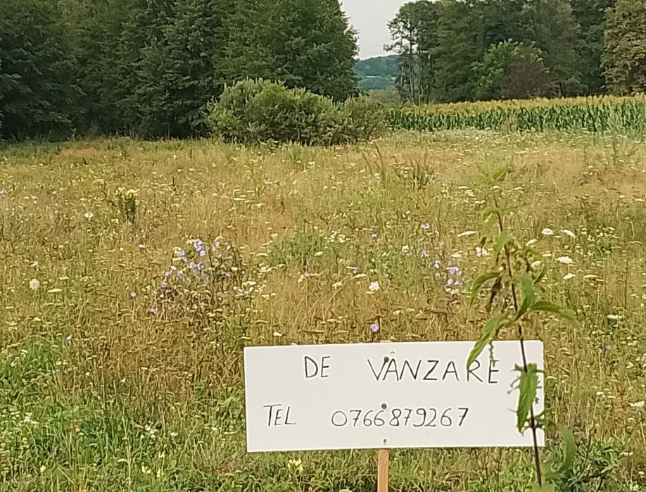 Teren mixt intravilan,extravilan