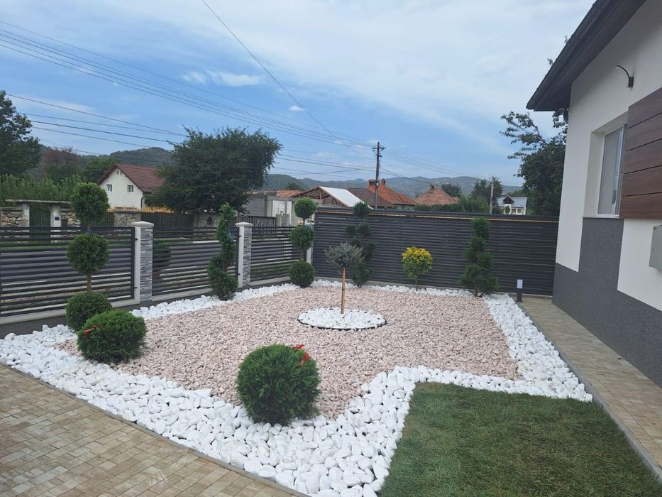 Amenajari gradini / Plante gard viu