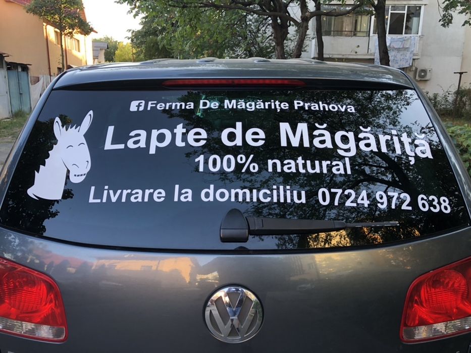 Inscriptionare auto vitrine geamuri materiale publicitare