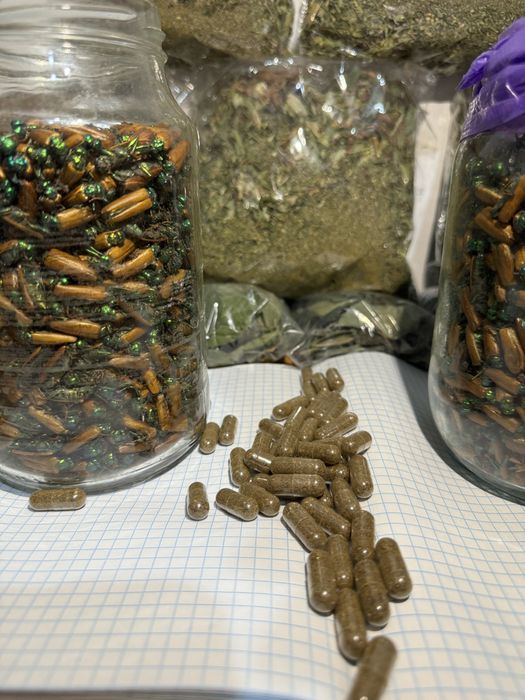 Алтын коныз майский жук золотой жук