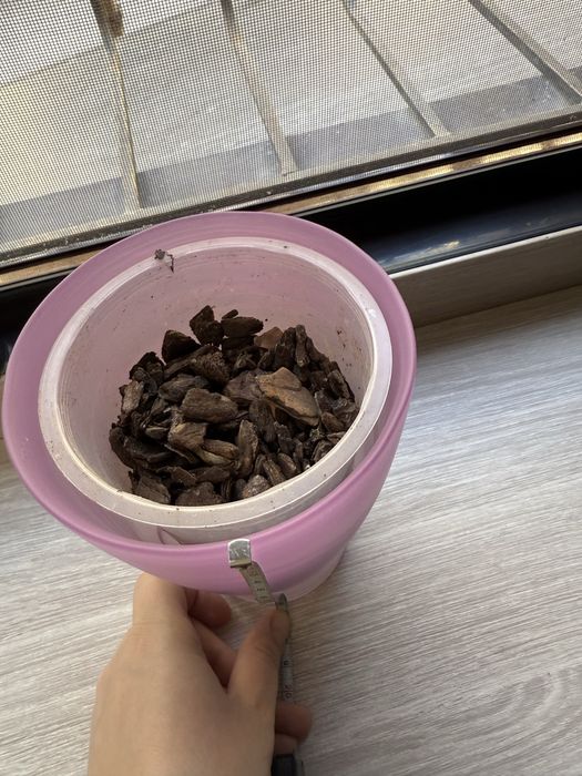 Стекляный горшок ваза для орхидеи возможен обмен