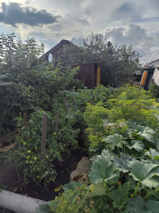 Продам частный дом