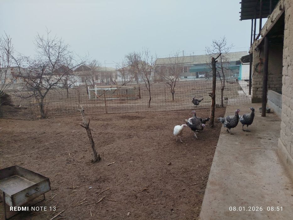 Продам участок под застройку