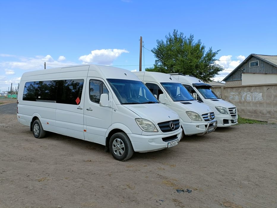 Пассажирские перевозки