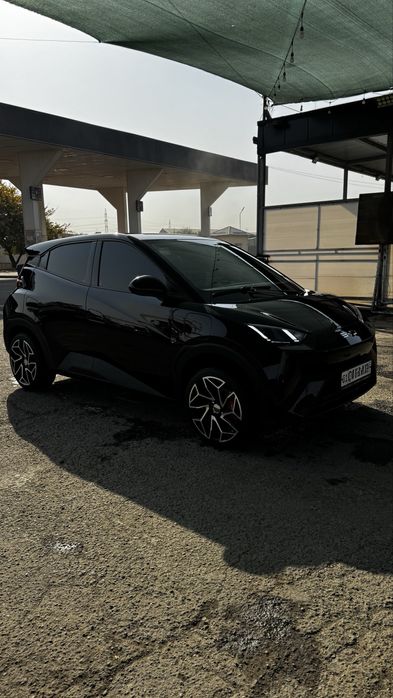 Byd seagull qora 2024/2025