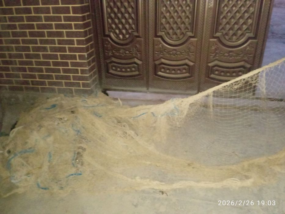 Holati yaxshi  kelishiladi yilim