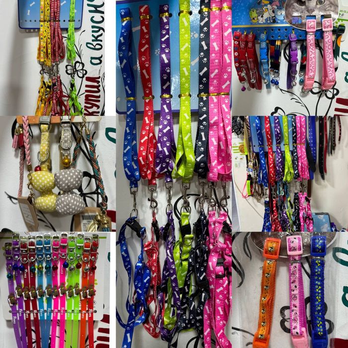 Royal Canin для вашего питомца