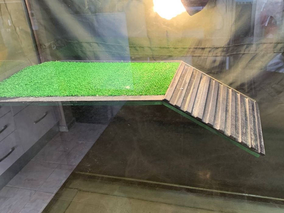 Акватерариум за костенурки