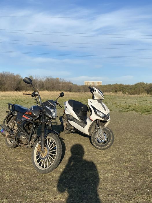 Продам мопед альфа