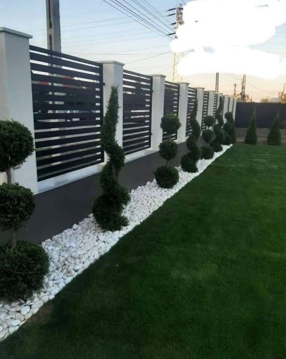 Tuia Smarald și plante naturale din pepeniera