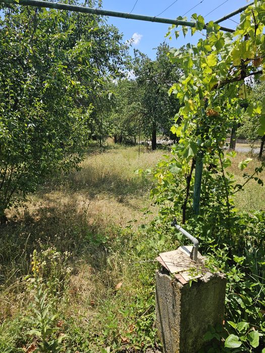 Продава се Къща в с. Габарево, Област Стара Загора - 25 кв.м за 978 €/кв.м - Снимка #6