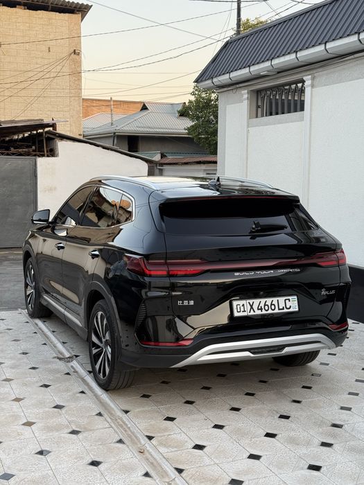 BYD champion EV 2024