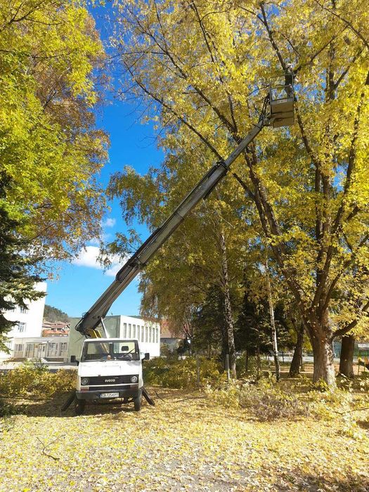 Автовишки под наем