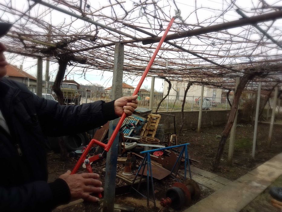 Удължена лозарска ножица и щипка