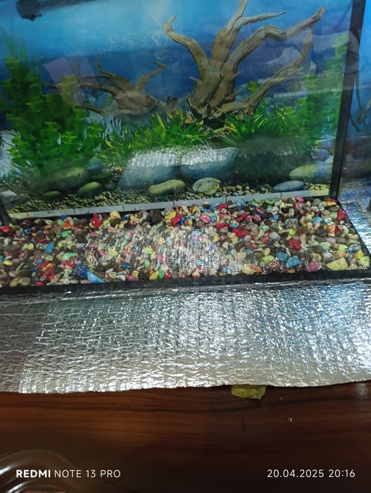 Akuvarum 50 literli xolati yaxshi