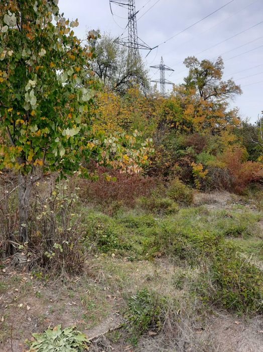 Земеделски имот в град  Плевен