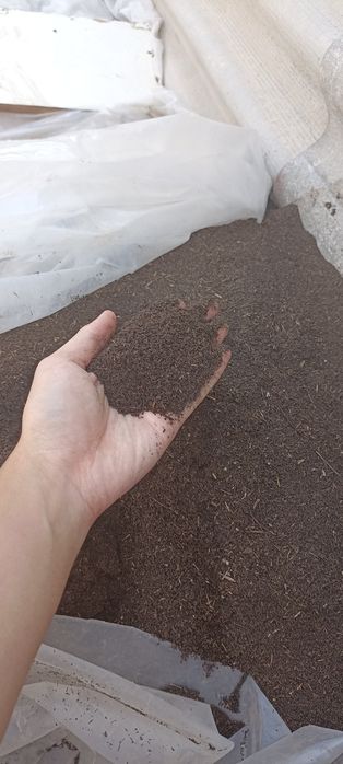 Продам свежий биогумус