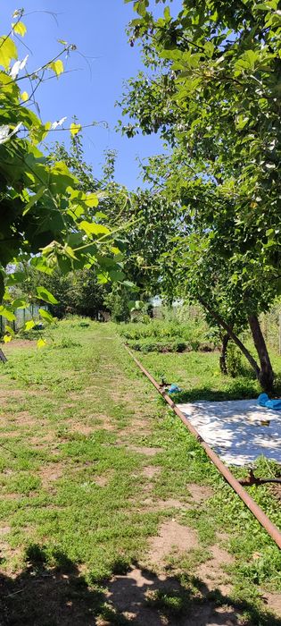 Продам дачу на берегу реки Чаган