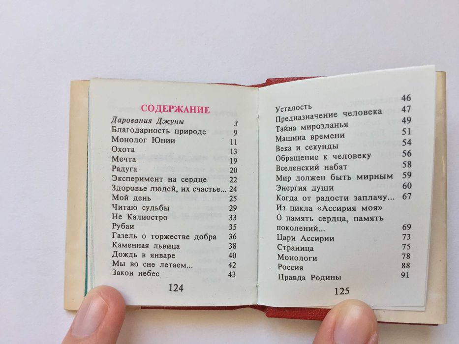 Джуна Поэзия и живопись Книга-миниатюра