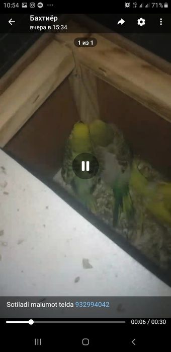 Sotiladi bolali para 280 yana kelishamiz