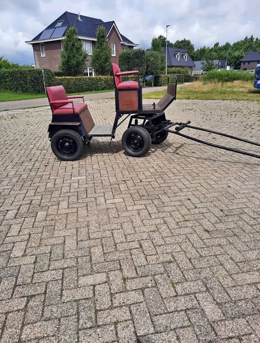 Trăsură 6 persoane