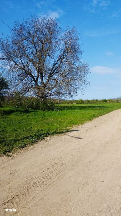 Teren intravilan de vânzare – Grădiștea, Ilfov, Aleea Primăriei
