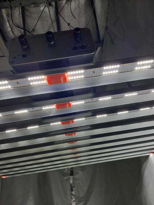 Green Sensation 1000W led grow lights