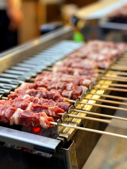 Grill inox pe carbuni pentru frigarui-Tecnoroast Italia