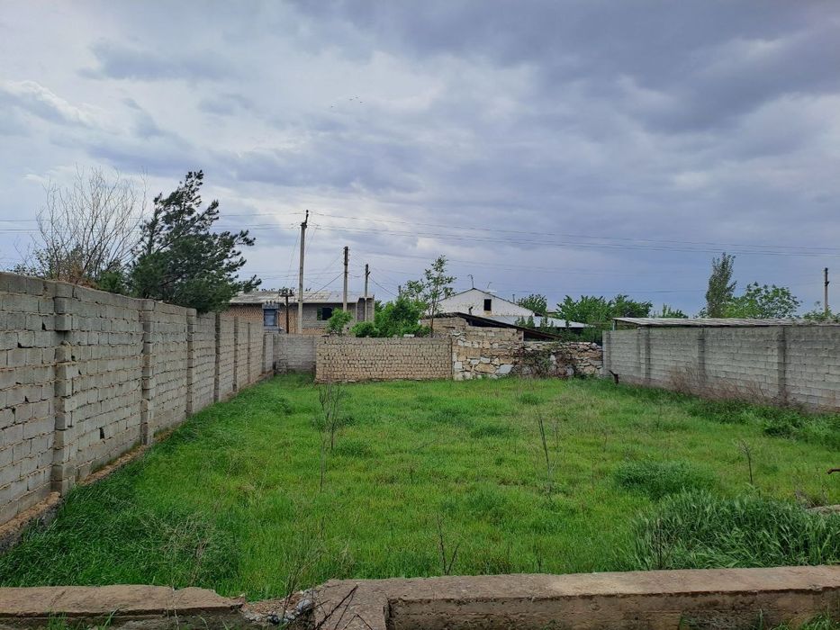 Дала ховли пулот даргом
