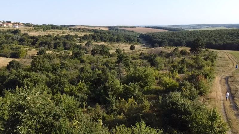 Парцел в Варна, област-с.Приселци площ 5957 цена 150000