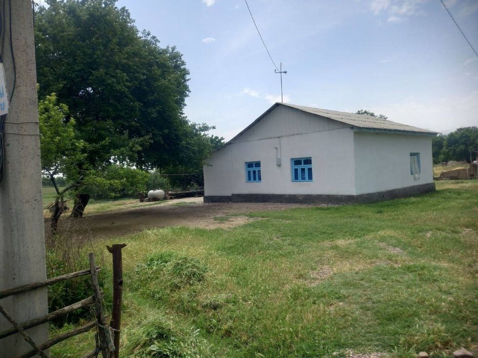 Elegant jinsiy aloqa foto