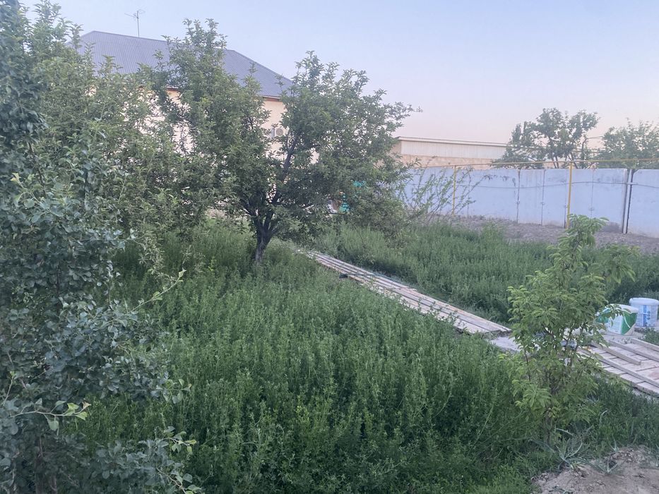 Жонышқа келіп орып алып кетесіздер