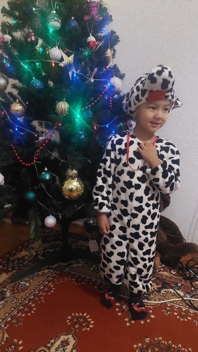 Прокат костюма ковбой и долматинца!