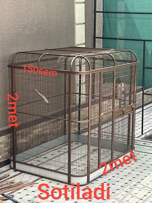 Qafasla sotuladi .Azgina ishlatilgan