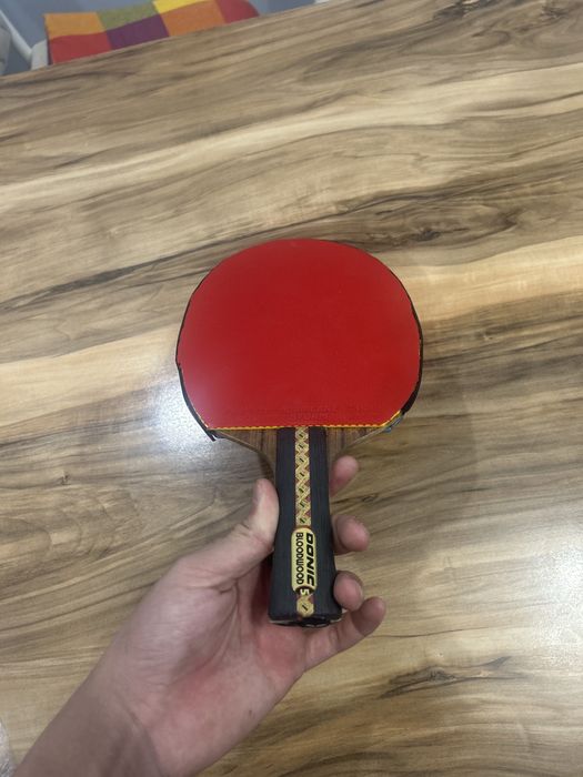 теннисная ракетка с шипами