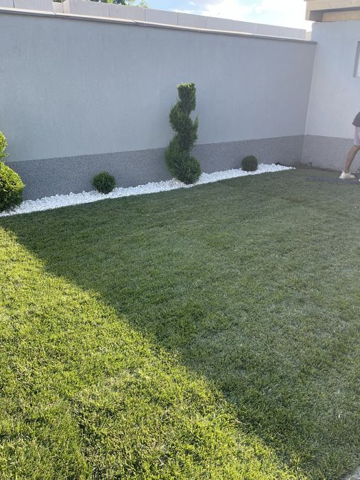 Gazon rulou rustic/sport