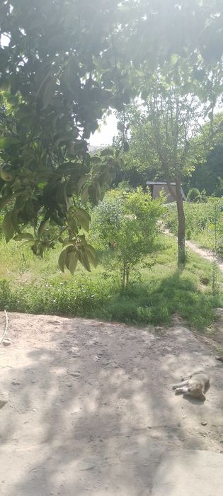 Uy sotiladi kelishilgan xolga