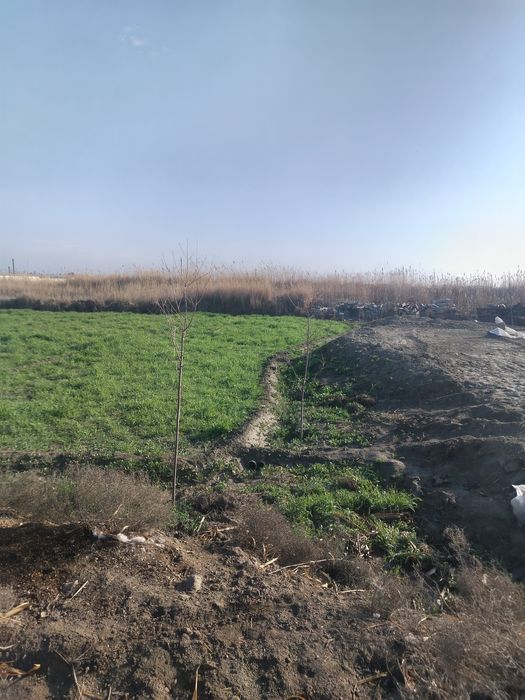 Срочно!!! Продаётся земленный участок!Маданият!