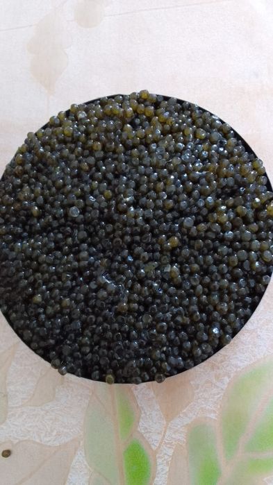 Икра черная Восток ,Астрахань