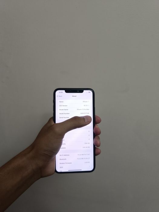Iphone 11 pro max (256 gb)
