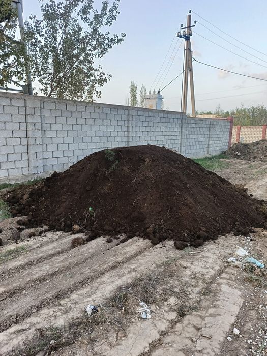 Көң көн кон навоз чернозем гөң перегной