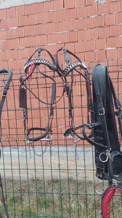 Vând o pereche de hamuri foarte frumoase purtate Foarte puțin