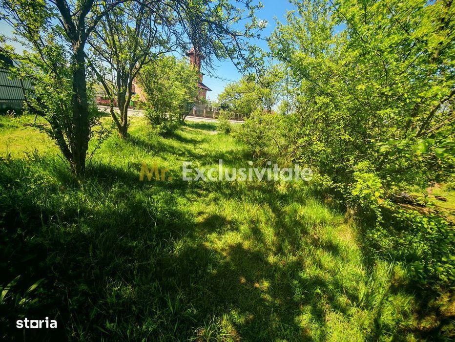 Teren intravilan 2.000 mp in Mioveni – Ideal pentru casa sau investiti