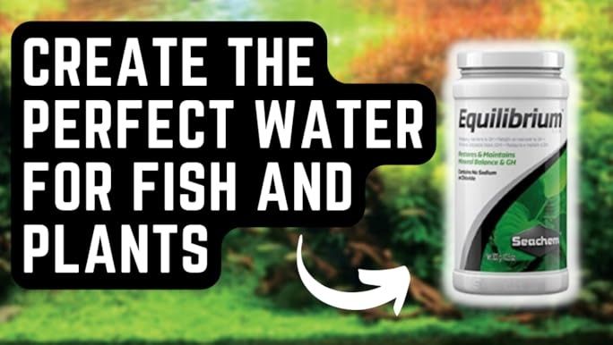 Seachem Alkaline buffer si Seachem Equilibrium pentru acvariu 100 gr