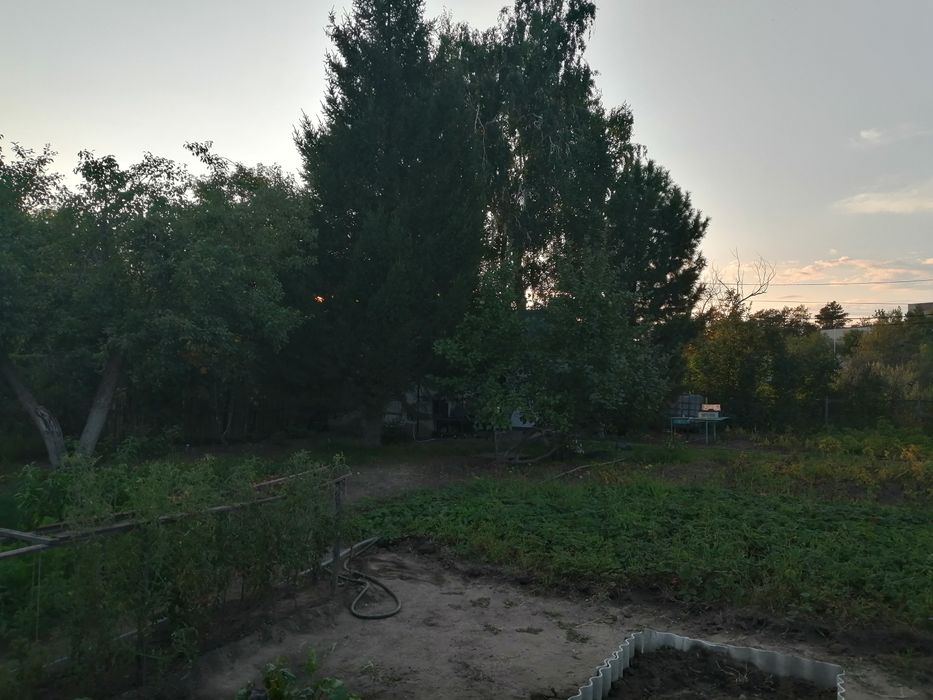 Участок. Около дома малютки