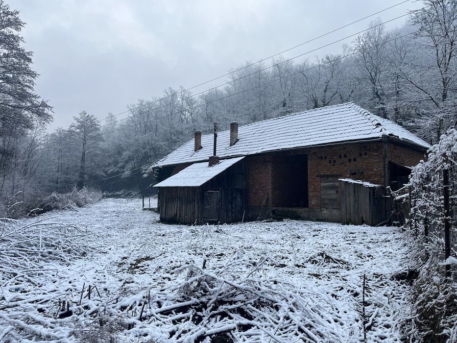 Vand teren in martinie